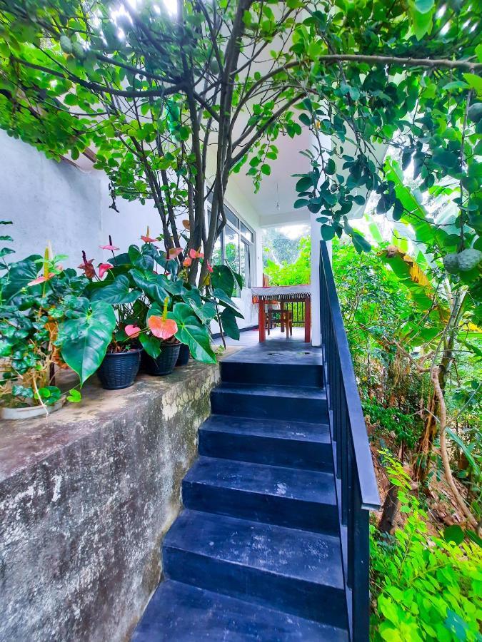 The Bliss Homestay Ella Εξωτερικό φωτογραφία